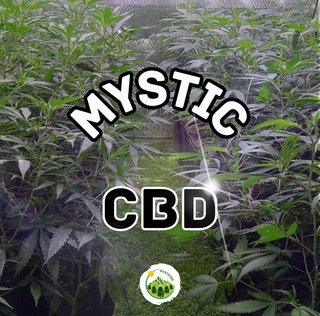 Mystic CBD